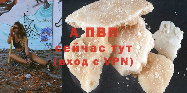 стаф Коряжма