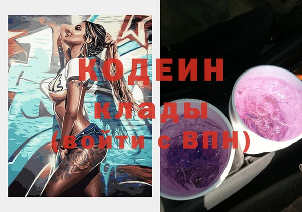 прущая мука Корсаков