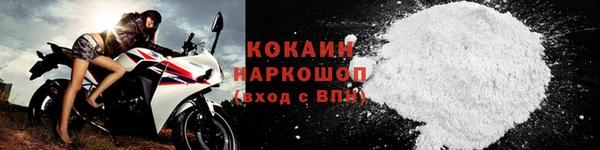 стаф Коряжма