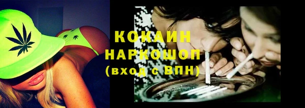 стаф Коряжма