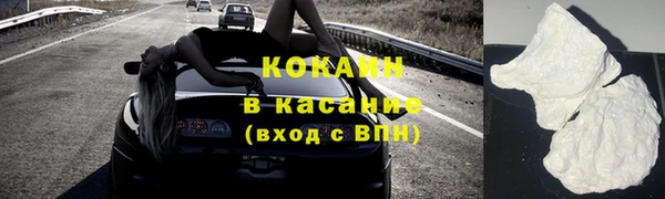стаф Коряжма