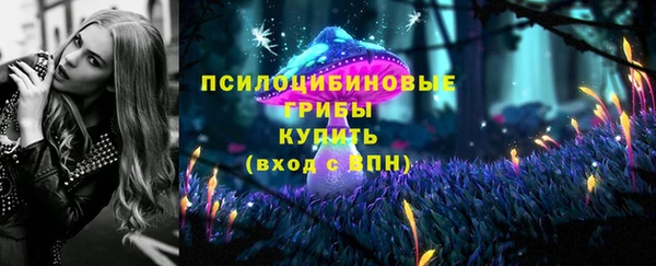 прущая мука Корсаков