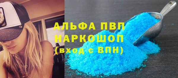стаф Коряжма