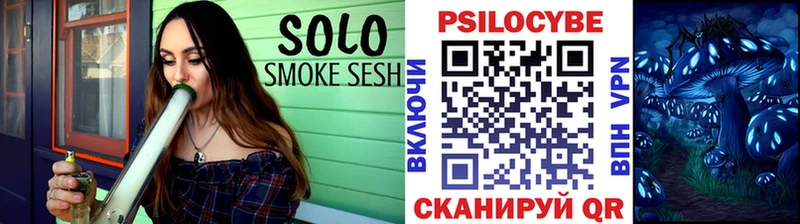 Псилоцибиновые грибы Psilocybine cubensis  Купить где  Керчь 